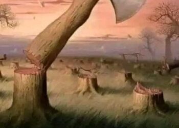 كيف تهدم البيوت …؟!