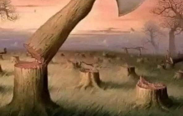 كيف تهدم البيوت …؟!