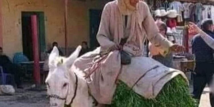 كان زمان وزمان كان..!!