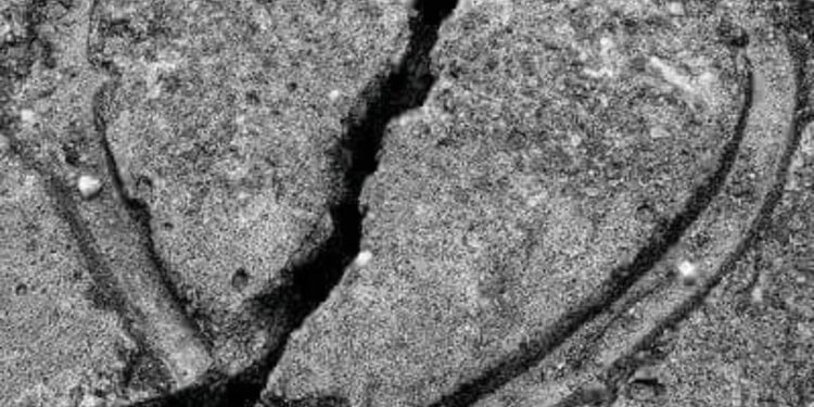 « عيشي بسلام »بقلم الشاعرة  سامية البابا