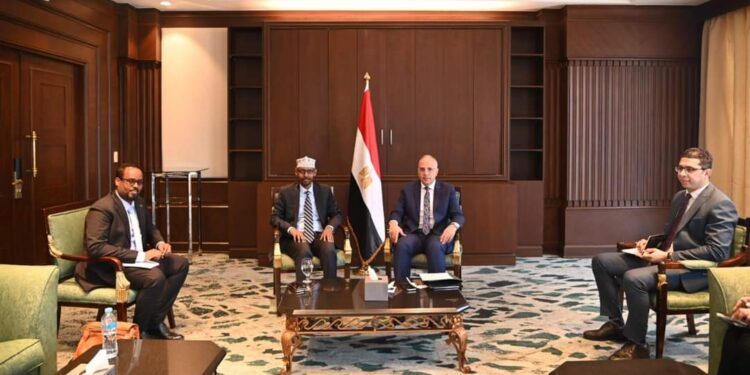 الدكتور سويلم يستقبل وزير الدولة للطاقة والموارد المائية بجمهورية الصومال