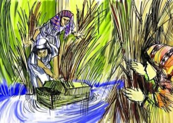 تأملات فى آيات… 1