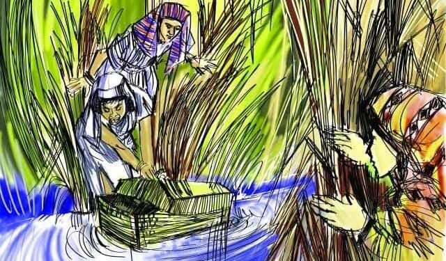 تأملات فى آيات… 1