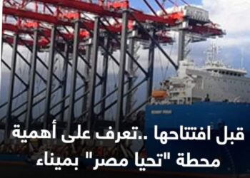 تعرف على أهمية محطة “تحيا مصر” بميناء الإسكندرية قبل إفتتاحها