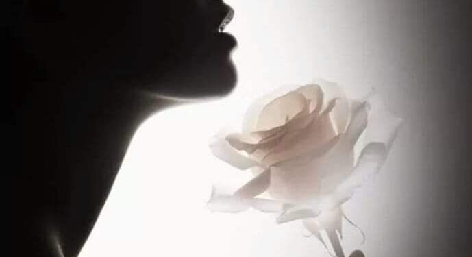 « مش فلسفه » للشاعرة سارة زيادة …