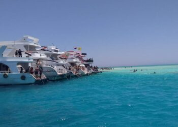 وزيرة البيئة:تواصل جهود أعمال الرصد والمتابعة الدورية للمحميات الطبيعية