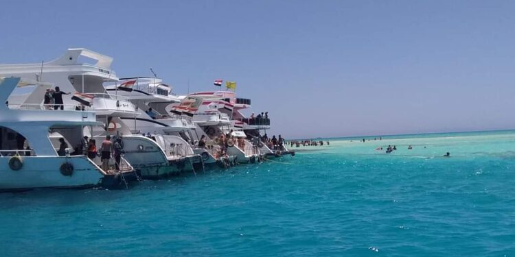 وزيرة البيئة:تواصل جهود أعمال الرصد والمتابعة الدورية للمحميات الطبيعية