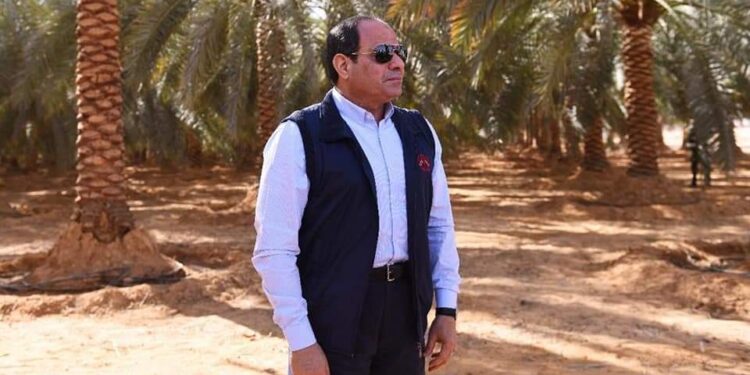 ٣٠ يونيو وضعت الزراعة على أولوية الدولة المصرية