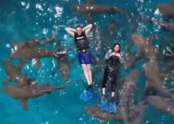 إيمان وزوجها يسبحان مع أسماك القرش في رحلة المالديف.. تجربة الرعب والإنبساط