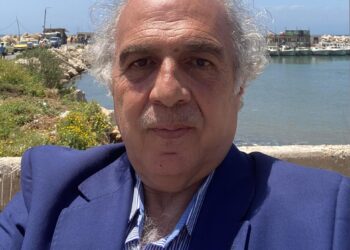 الثقافة والسياسة.. وأنماط العلاقة