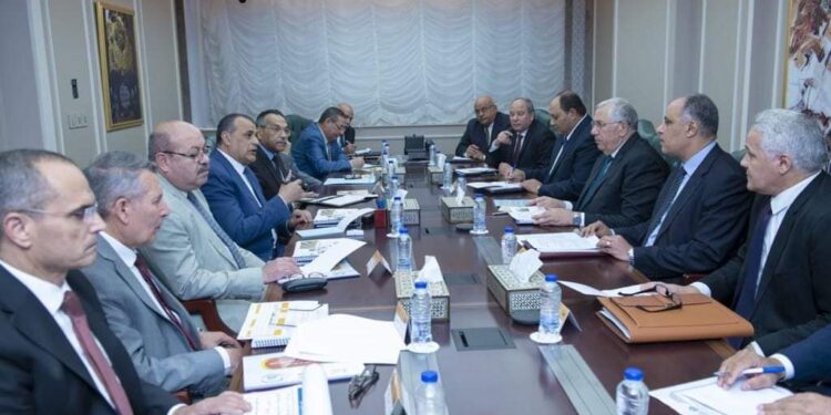 وزيرا الإنتاج الحربى” و “الزراعة” يتابعان تنفيذ مشروعات التعاون المشترك”