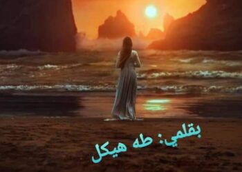 صراخ الصمت  …