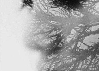 كيف لي بتوبة ؟!