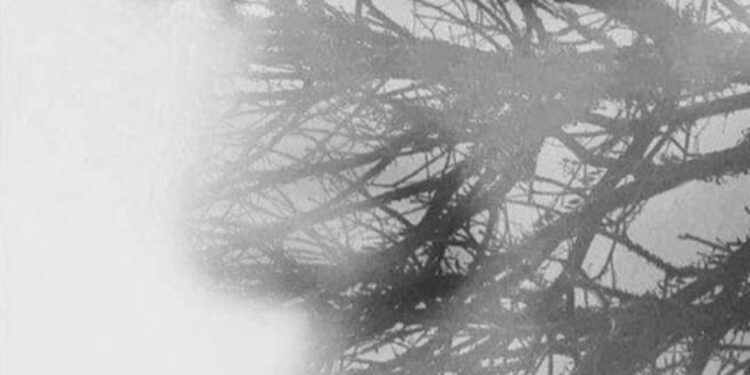 كيف لي بتوبة ؟!