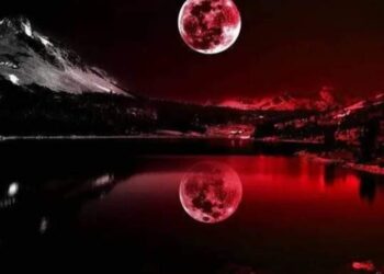 من الأدب والتواضع …