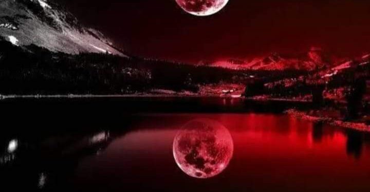 من الأدب والتواضع …