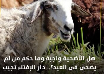 هل الأضحية واجبة وما حكم من لم يضحي في العيد .. ؟