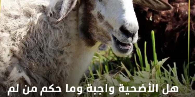 هل الأضحية واجبة وما حكم من لم يضحي في العيد .. ؟