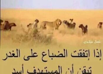 معلومات نفسية …!!