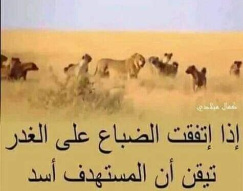 معلومات نفسية …!!