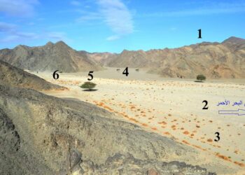 تفقد الجَمال في وادي الجـِمال … !!