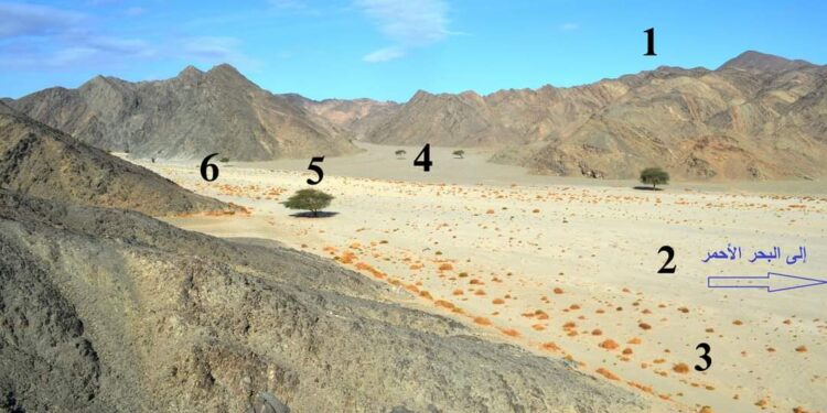 تفقد الجَمال في وادي الجـِمال … !!