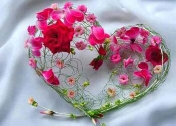 غشاء قلبي بات رقيقاً