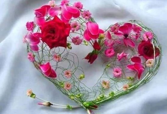 غشاء قلبي بات رقيقاً