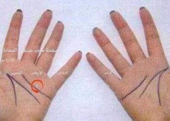 ما هو سر ١٨ و٨١ الموجود في كف اليد …