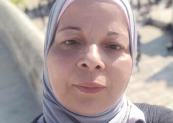 زيارات المغتربين ..