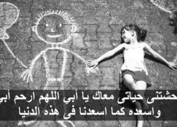 أبي الحبيب …