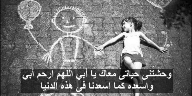 أبي الحبيب …