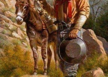 قصة جميلة : خباياالعقل