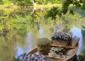 هي تخفي جنون قلبها