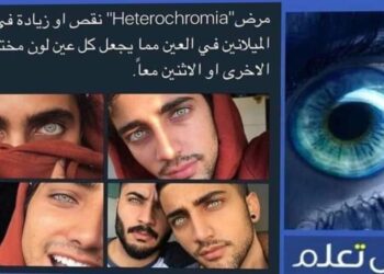 حقائق حول الذاكرة البصرية