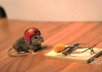 قصة وعبرة …