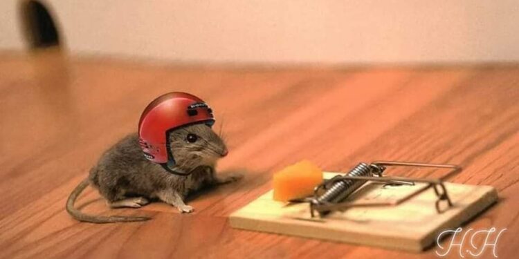 قصة وعبرة …