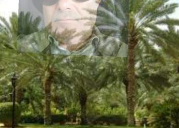 « أحاسيسٌ نائمة » منصف العزعوزي …