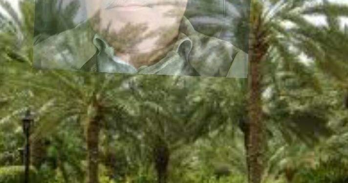 « أحاسيسٌ نائمة »  منصف العزعوزي …