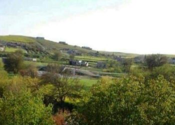 الريشة والأصابع