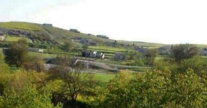 الريشة والأصابع