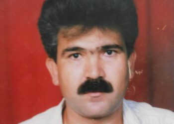 حَمامَةُ الضُّحَى …