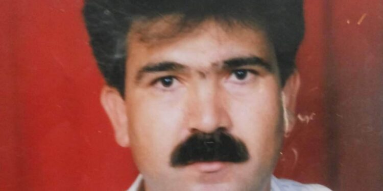 حَمامَةُ الضُّحَى …