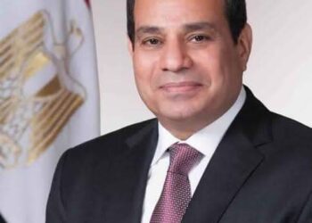 محافظ أسوان يهنئ رئيس الجمهورية بعيد الأضحى