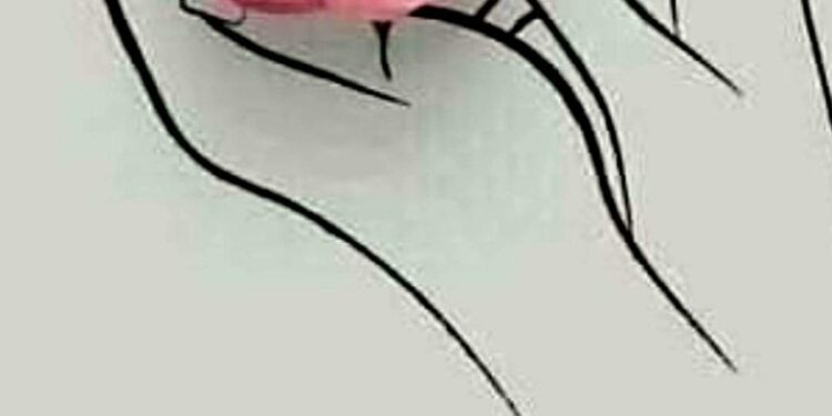 قولي كلمه …