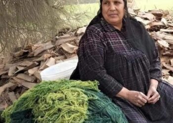 ذي نور الشمس تطلع …