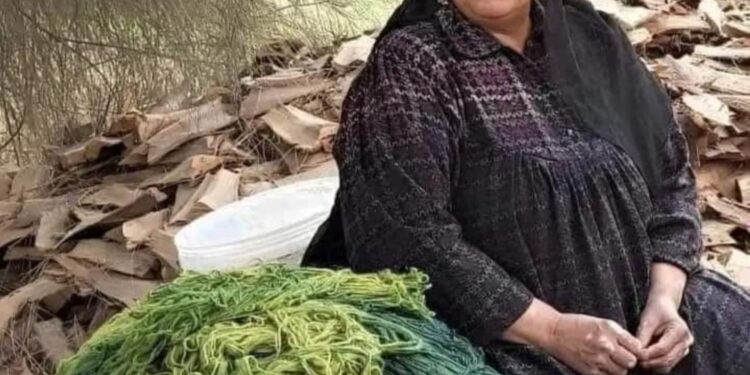 ذي نور الشمس تطلع …