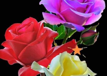 أعرفك ، مليء بالفوضى