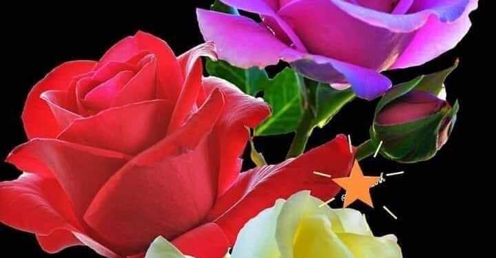 أعرفك ، مليء بالفوضى