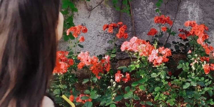 « أريد أن أجد أسبابي » بقلم …ناريمان حسن